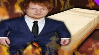 Ed Sheeran Griefed My Minecraft Server
