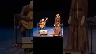 Dança de mágoas (part 3) #music #fado #liveperformance #guitar #concert