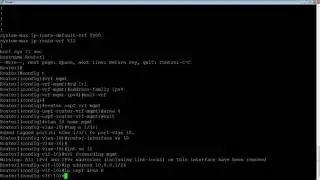 CONFIGURING A MANAGEMENT VRF
