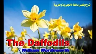 The Doffodils poem شرح للقصيدة باللغة الانجليزية والعربية