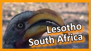 South Africa & Lesotho - Good Moments