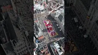 Brussels scarpet 2024. #belgium #belgiumtravel #brusselsbelgium #shortvideo #flowers