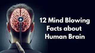 12 Mind Blowing Facts about Human Brain 😱