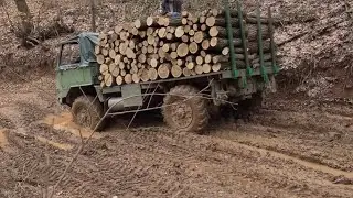 Tam 110 u sumi 2023 / military truck in forest