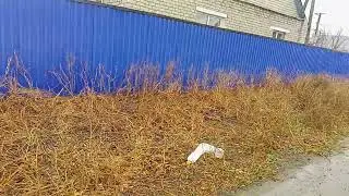 Түрси суланып кетті 😲😱🥵