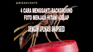 TUTORIAL EDIT BACKGROUND FOTO I SNAPSEED I Part2