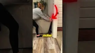 She Found Puppies Hidden Behind the Sofa 🥹 