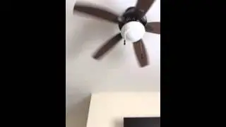 Ilusión óptica