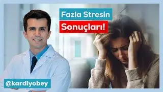 Stres Kalbe Nasıl Zarar Verir?