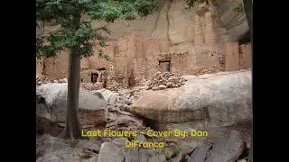 Last Flowers (Mali) - Cover By: Dan DiFranco