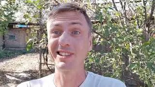 Соседи прибавили мне работу в доме на Юге