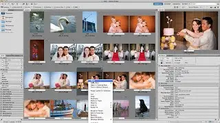 How To Open Raw Files In Adobe Bridge & Photoshop