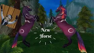 New Magic Horse l SSO