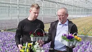 Delta Pro at grower Wouters | Turkish