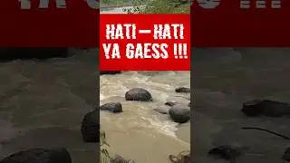 Hati - hati sama ular ini ‼️