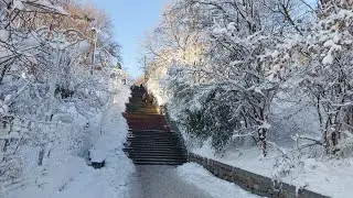 Зимние городские пейзажи Черкассы