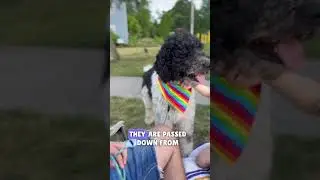 We took our kids to a pride festival…  #pride #lgbtq #pridemonth #nomads #nomadfamily