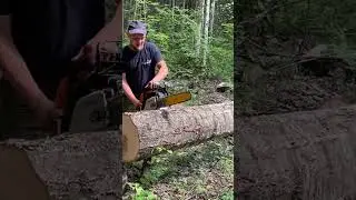Продолжаем пилить лес ! ✊👍🏻💪