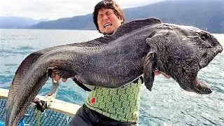 13 BIZARRE Sea Monster Photos Explained