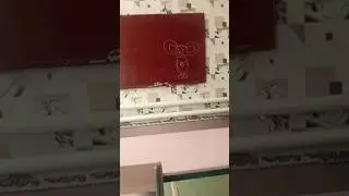 чебруняк фреди холерофреди фазбер