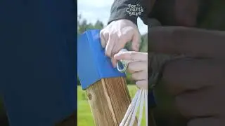 Set Up the Perfect Backyard Hammock