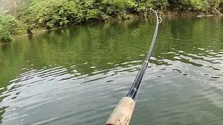 【釣行記＃１０】今年最初のローカルトーナメント参戦