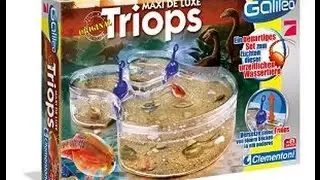 Galileo Triops - как мы доисторических существ выращивали. История Гоши