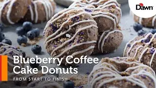 Blueberry Coffee Cake Donuts | How To Recipe From Start To Finish