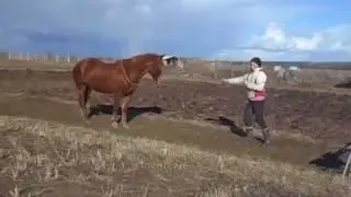 Рута прыгает