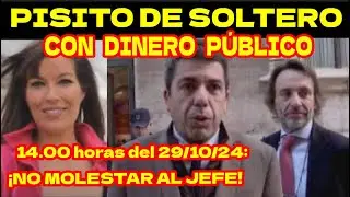 MUJER DE MAZÓN DESCUBRE EL 