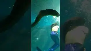 Русалки существуют 