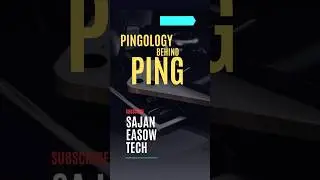 Pingology: Decode the Magic of 'Ping' 🔍 