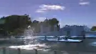 mundo marino-2010gp