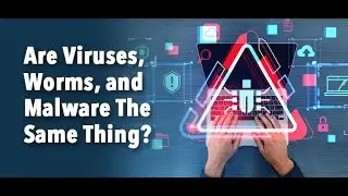 Are Viruses, Worms, and Malware The Same Thing?