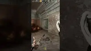 I Did Molly Bonk in CS2