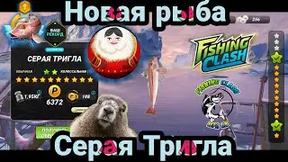Новая рыба - Серая Тригла на Гренландии / Большой Турнир /