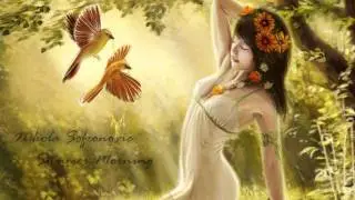 [Downtempo] Nikola Sofronovic - Summer Morning