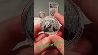 Silver Panda 2015