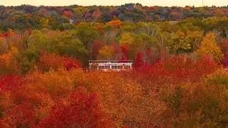 Fall Foliage at Bridgewater State University