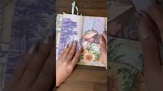 Provence Journal 