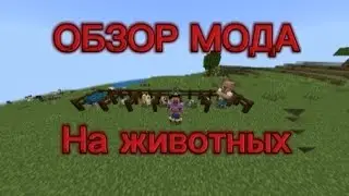 Обзор мода для майнкрафта|Minecraft PE |мод из маркет плейса