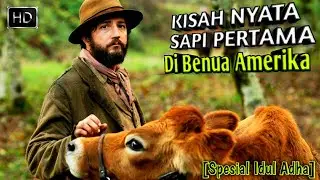SAPI PERTAMA DI BENUA AMERIKA SPESIAL IDUL ADHA