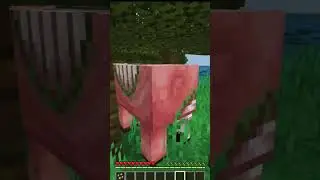 Can't Even Play Minecraft In Ohio! 