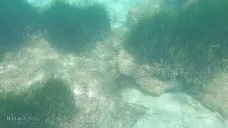 KANALI BEACH, exploring the sea 4K