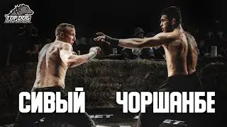 Чоршанбе Ys  Сивый