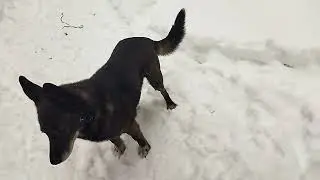 обычный день