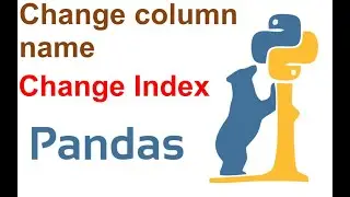 #3 Pandas column name change|.rename() and  .set_index() | Complete in Hindi