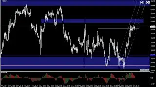 Forex con Café del 1 de Noviembre del 2024 (NFPR)