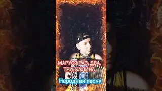 Маруся раз, два - народная песня под баян #баян #баянист #топ #народныепесни #застольныепесни