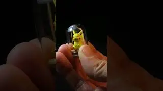 Tiny Pikachu ⚡️⚡️⚡️